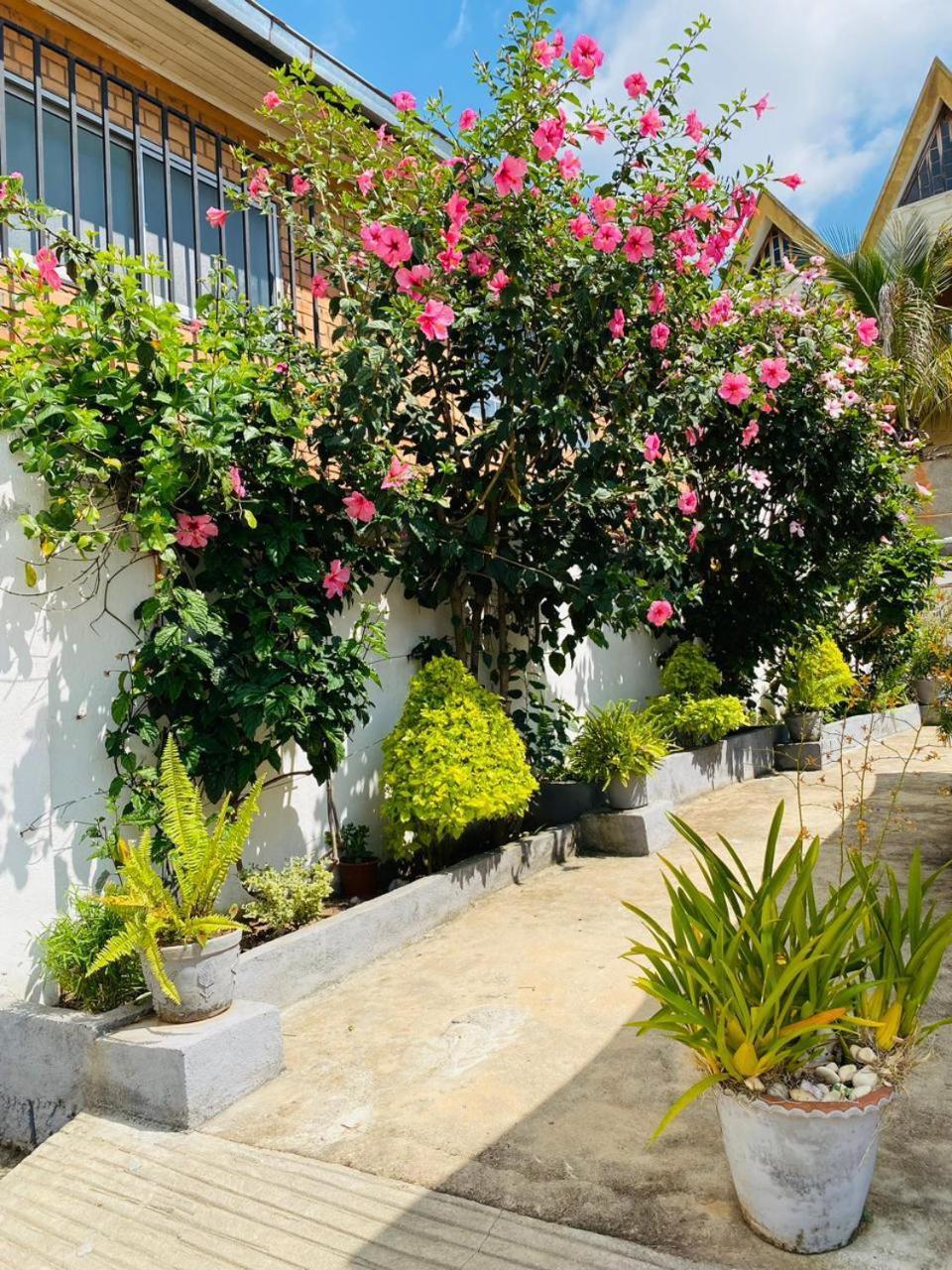 Chez Jeanne Chambre D'Hote Antananarivo Luaran gambar